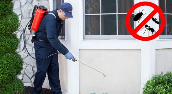 Ulukışla Kene İlaçlama böcek ilaçlama ve haşere kontrolü — ilaclama-tr.com
